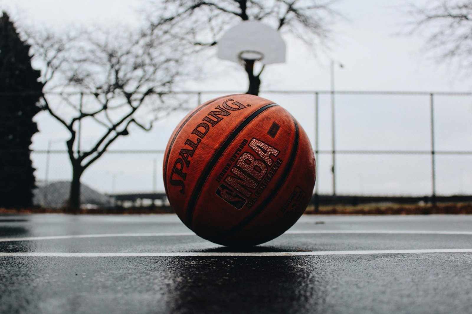 Canadian Women Excel in Global Basketball Arenas